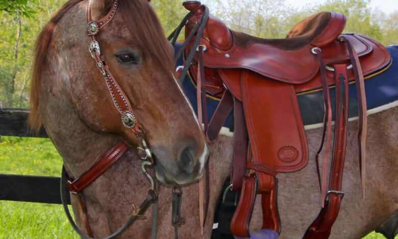 saddles-for-sale
